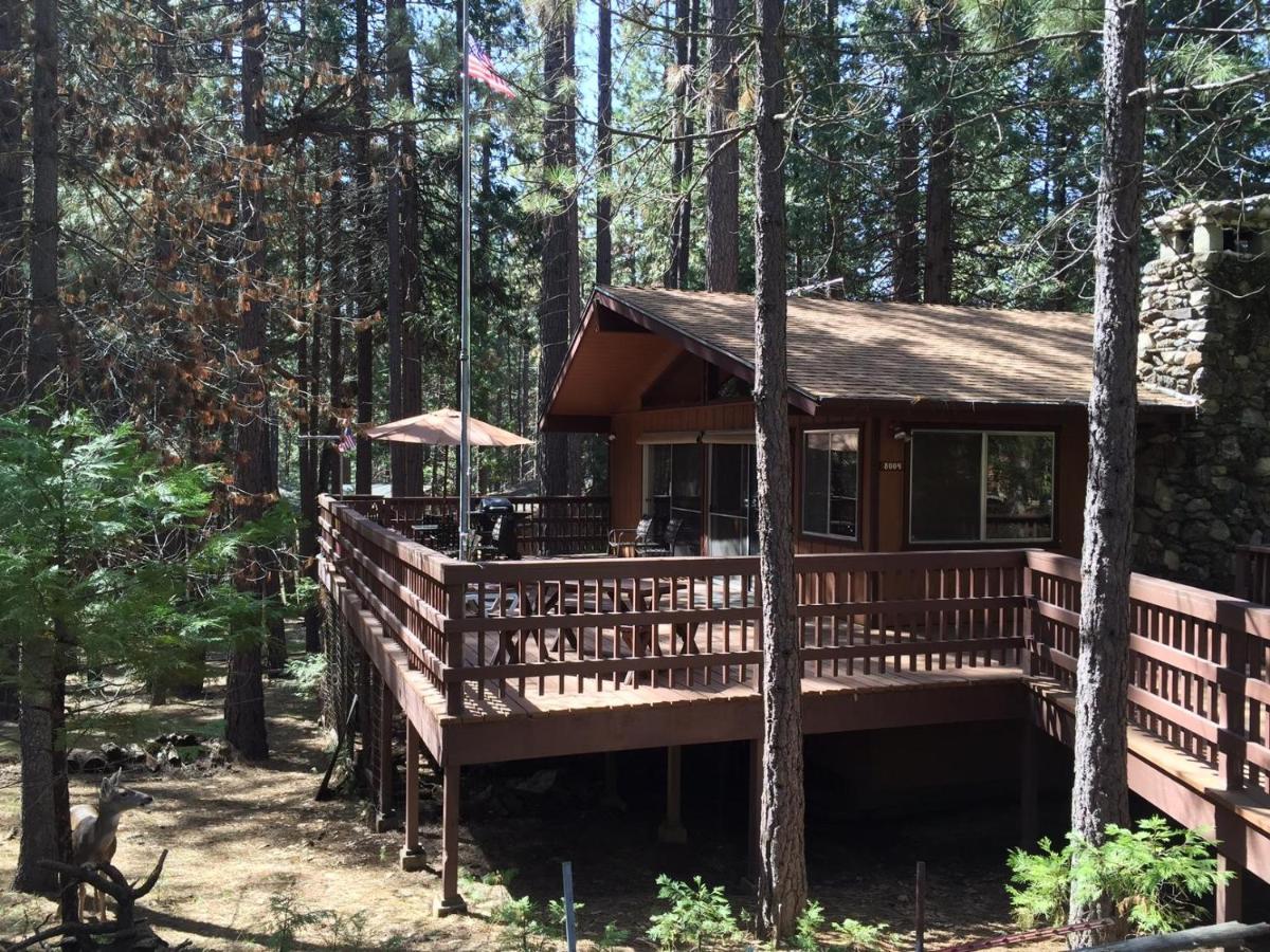 Papa Bear Cabin North Wawona Εξωτερικό φωτογραφία