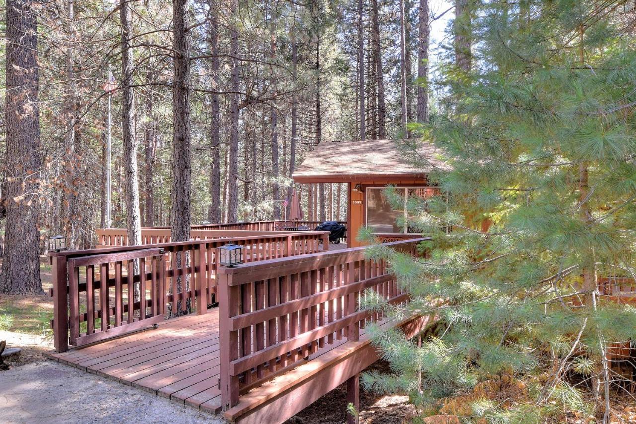Papa Bear Cabin North Wawona Εξωτερικό φωτογραφία